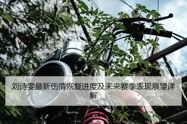 刘诗雯最新伤情恢复进度及未来赛季表现展望详解